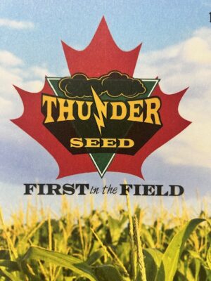 Thunder Seed